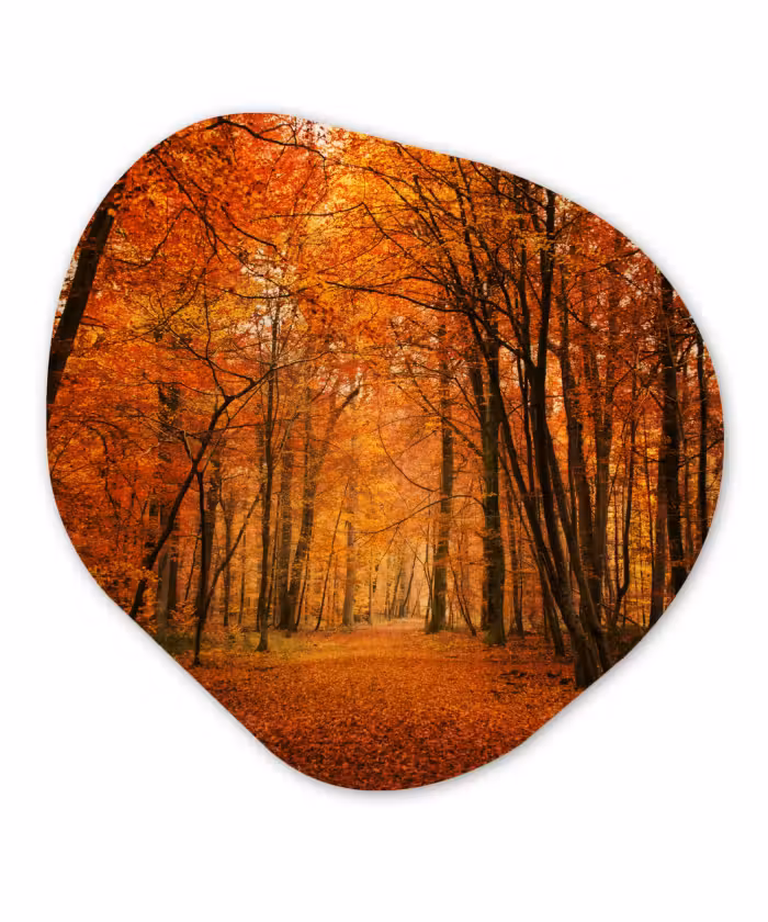 Organische Formen – Aluminium – Herfst - Rood - Bos