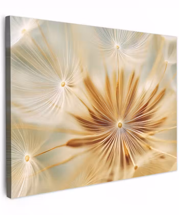 Canvas schilderij - Paardenbloem - Beige - Abstract - Modern - Natuur