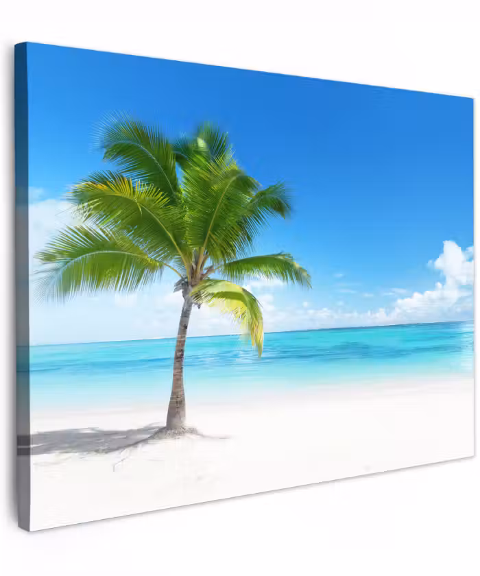 Canvas schilderij - Palmboom - Strand - Zee - Zomer