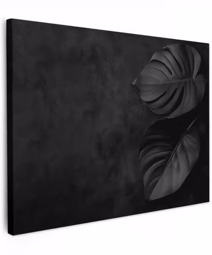 Canvas schilderij - Zwart - Blad - Monstera