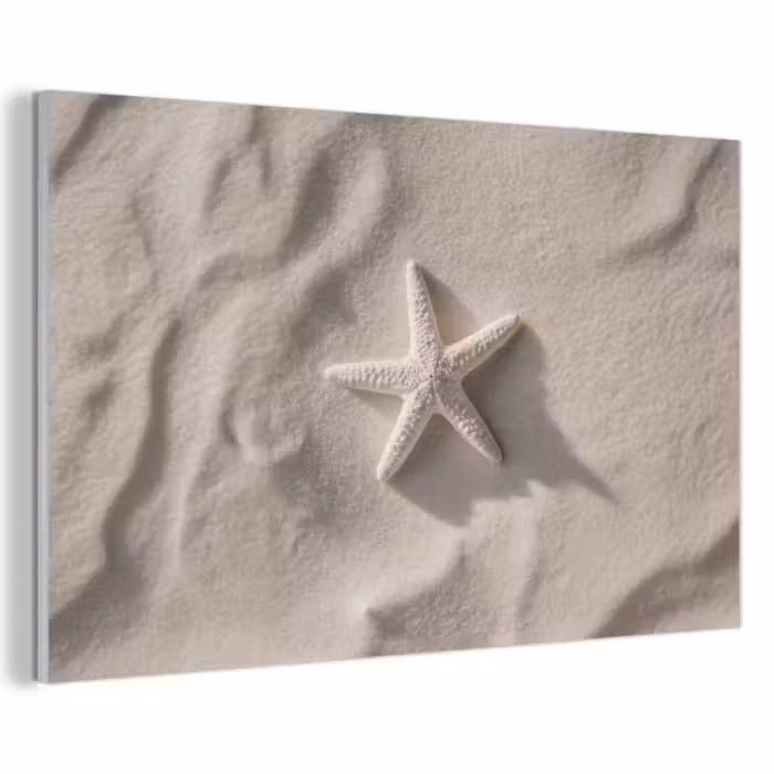 Akoestisch schilderij - Strand - Zeester - Zand - Beige