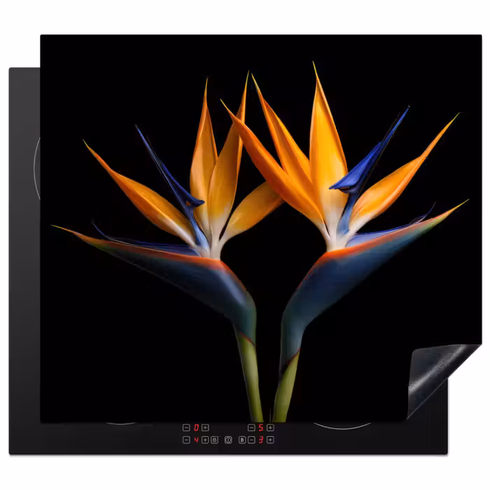 Inductie beschermer - Paradijsvogelbloem Symmetrie