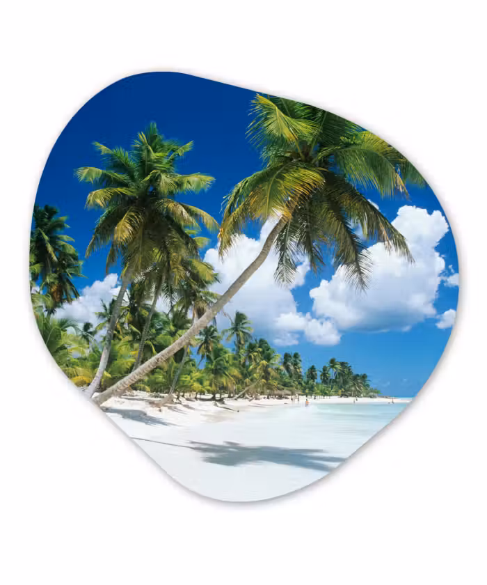 Organische Formen – Aluminium – Strand - Palmboom - Tropisch