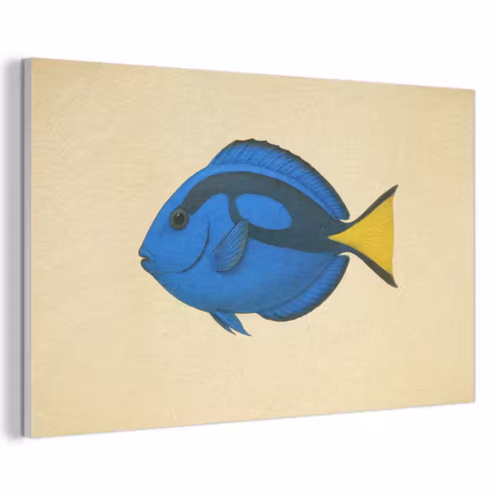 Akoestisch schilderij - Blauw - Dory - Vis - Staartvin