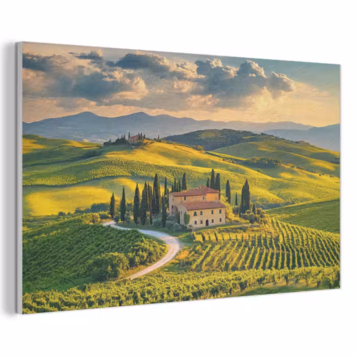 Akoestisch schilderij - Toscane - Landschap - Wijngaarden