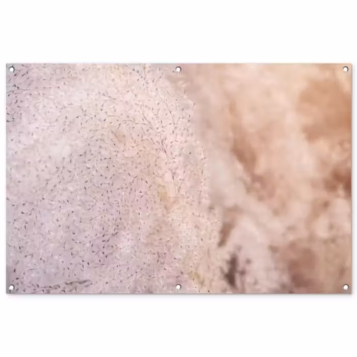 Tuinposter - Pampasgras - Structuur - Planten - Natuur