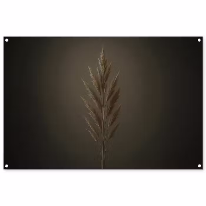 Tuinposter - Pampasgras Pluim Bruin