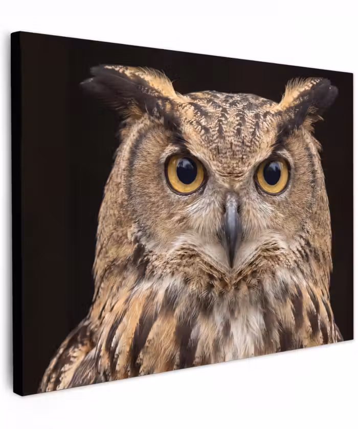 Canvas schilderij - Oehoe - Uil - Portret - Bruin
