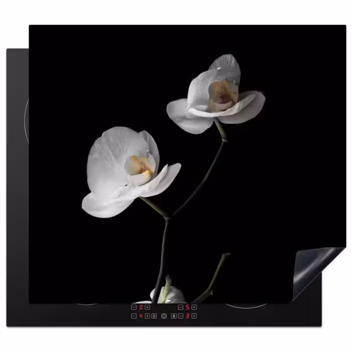 Inductie beschermer - Nachtelijke Orchidee Elegance