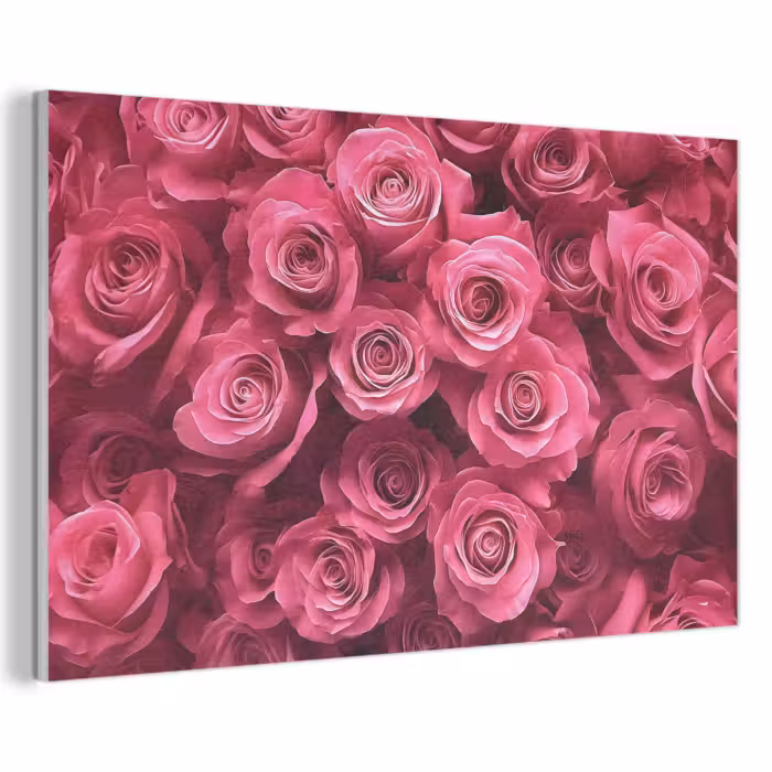 Akoestisch schilderij - Rozen - Pink - Bloem