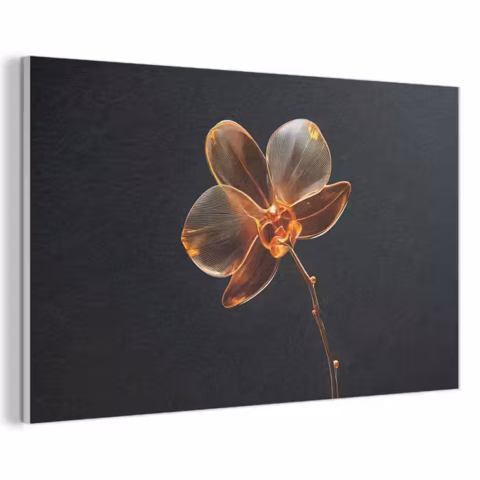 Akoestisch schilderij - Orchidee - Doorzichtig - Bloem