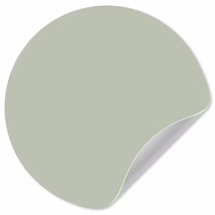 Behangcirkel - Mintgroen - Effen kleur