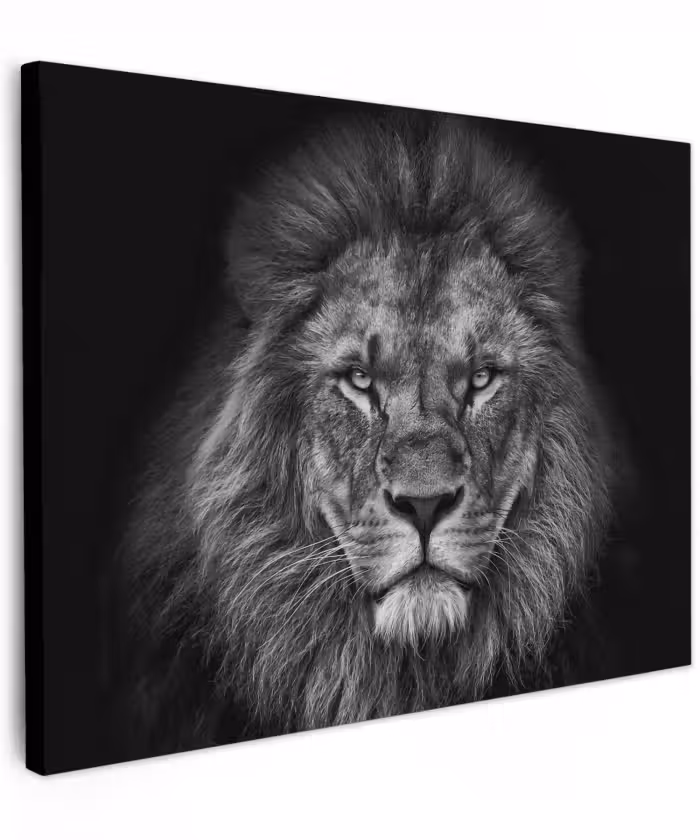 Canvas schilderij - Leeuw - Dieren - Zwart - Wit