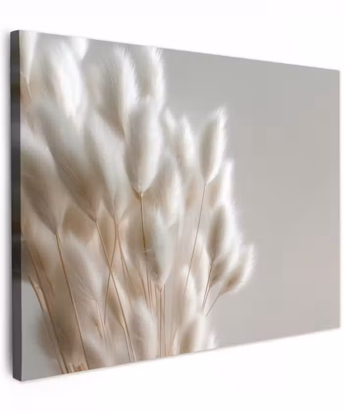 Canvas schilderij - Pluimen - Beige - Minimalistisch