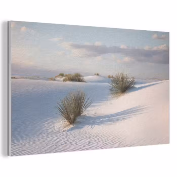 Akoestisch schilderij - Duinen - Gras - Wolken - Beige