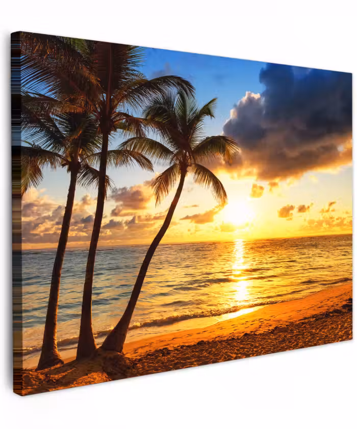 Canvas schilderij - Strand - Horizon - Zonsondergang - Palmboom - Zee