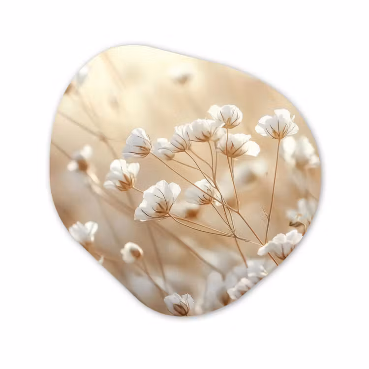 Organische vorm - schilderij - Aluminium - Witte Bloemen Beige