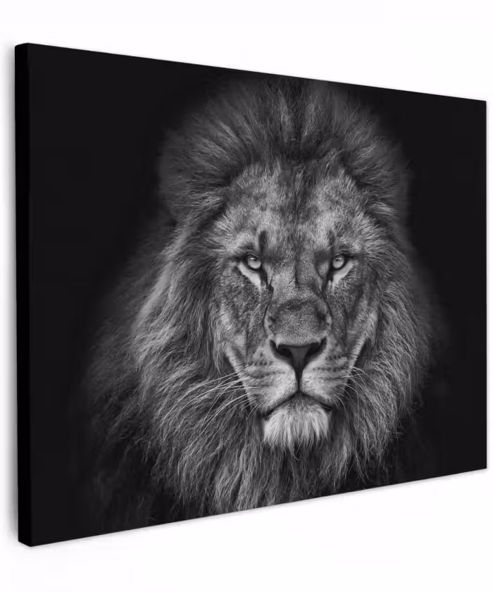 Canvas schilderij - Leeuw - Dieren - Zwart - Wit