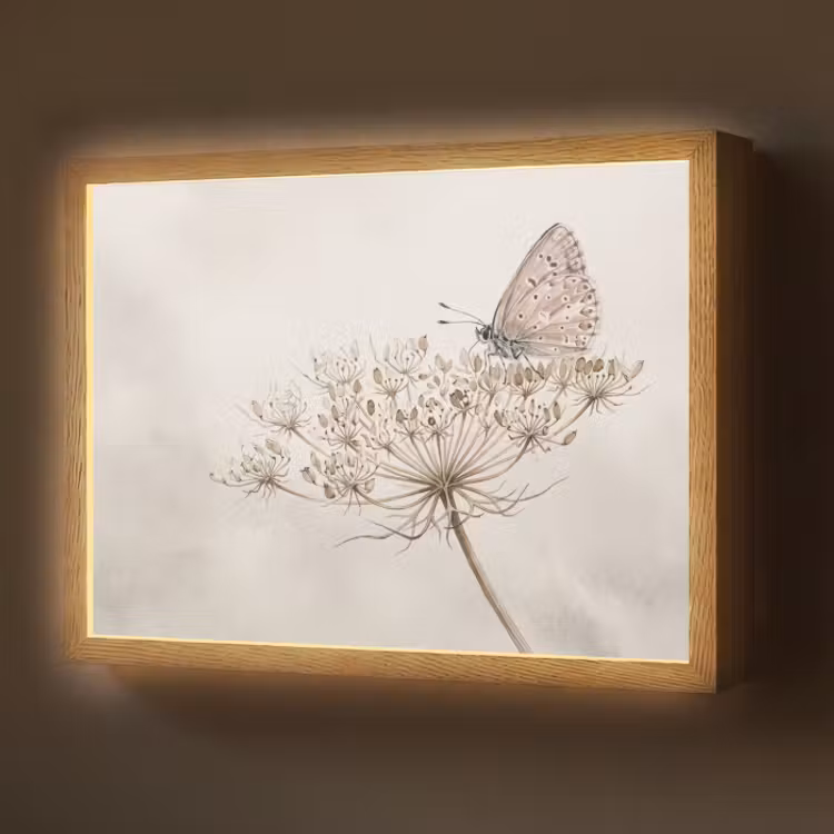 Lightbox - Wandlamp - Vlinder op Schermbloem Aquarel Beige