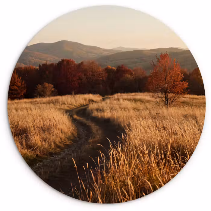 Wandcirkel - Glas - Pad - Herfst - Natuur