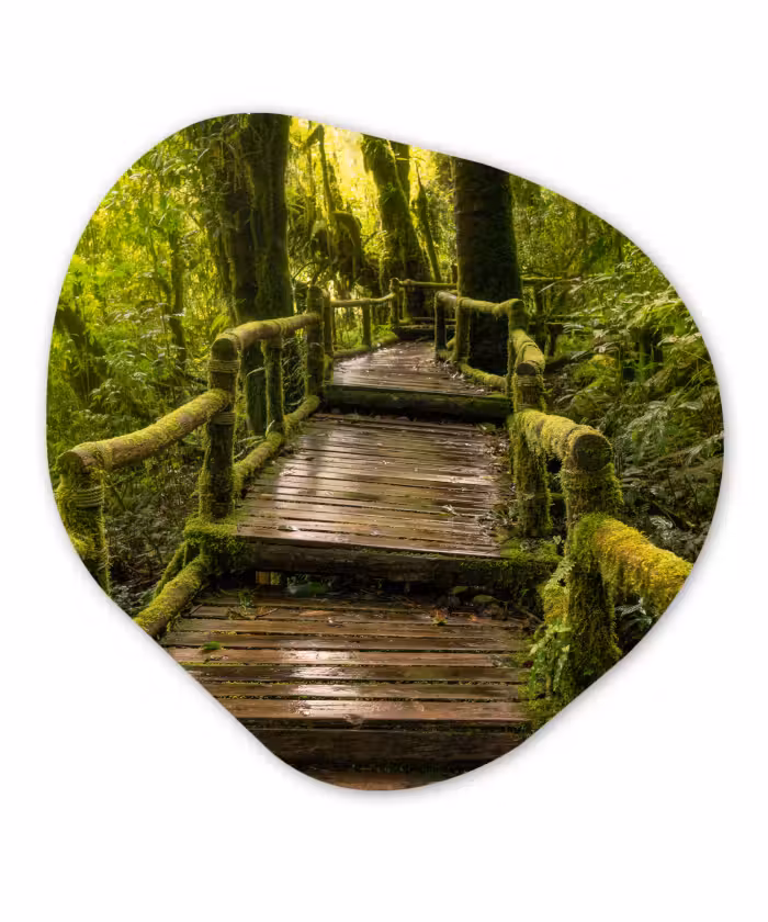 Organische Formen – Aluminium – Mooi regenwoud en jungle