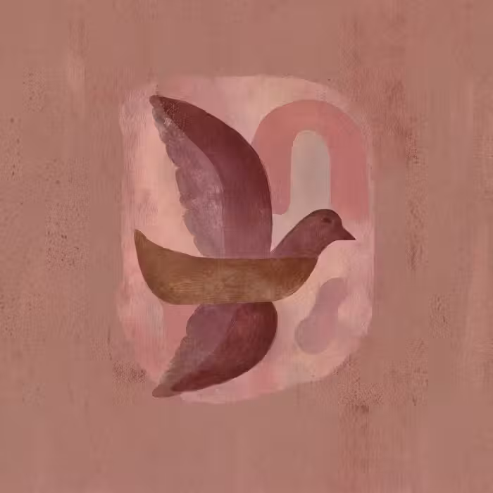 Behang - Illustratie - Vogels - Abstract - Roze
