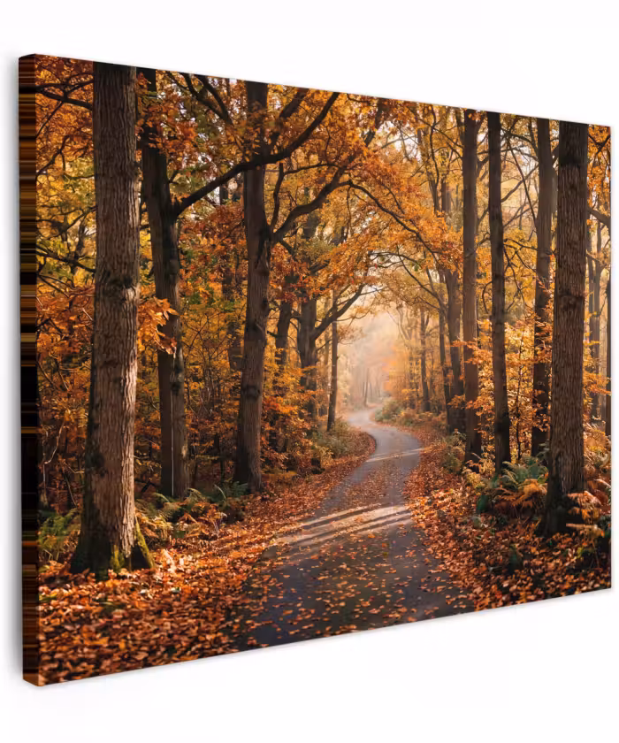 Canvas schilderij - Bospad - Herfstbos - Bladeren - Oranje - Nostalgisch