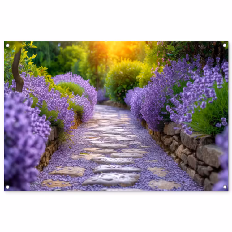 Tuinposter - Lavendelpad bij zonsondergang