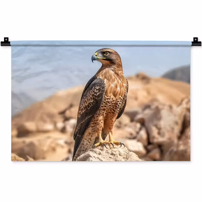 Wandkleed - Valk - Vogel - Rots - Macht