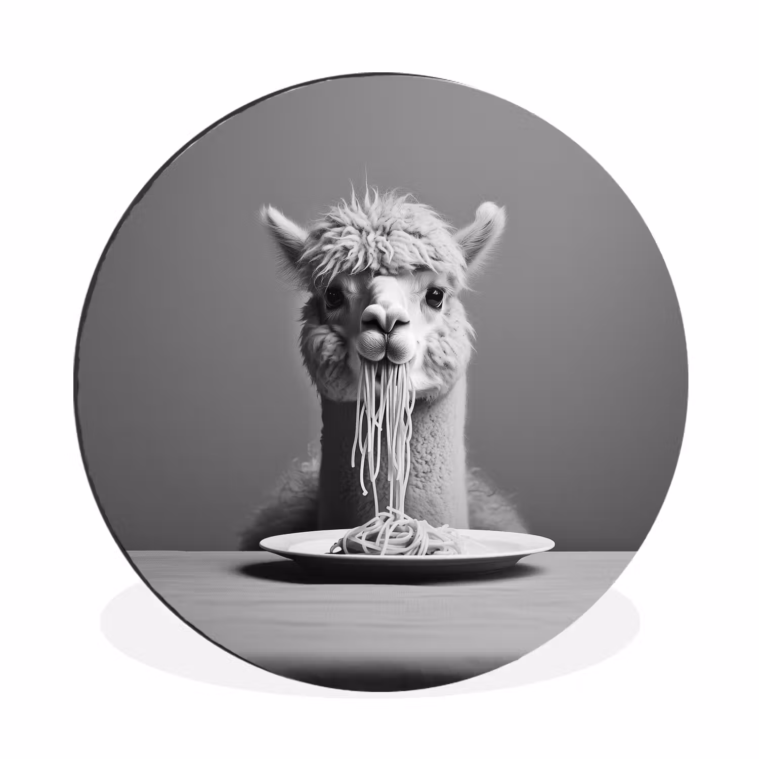 Wandcirkel Aluminium – Alpaca - Pasta - Zwart - Wit - Grappig - Dieren