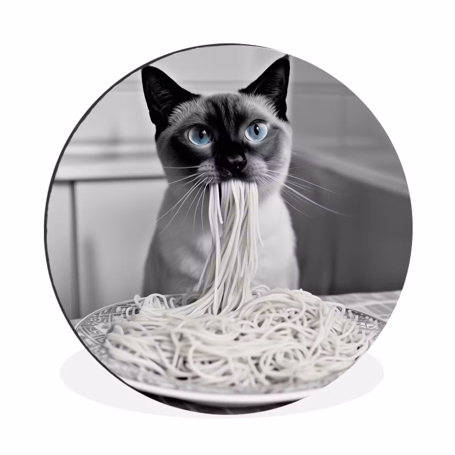 Wandcirkel Aluminium – Kat - Siamees - Zwart Wit - Schattig - Dieren