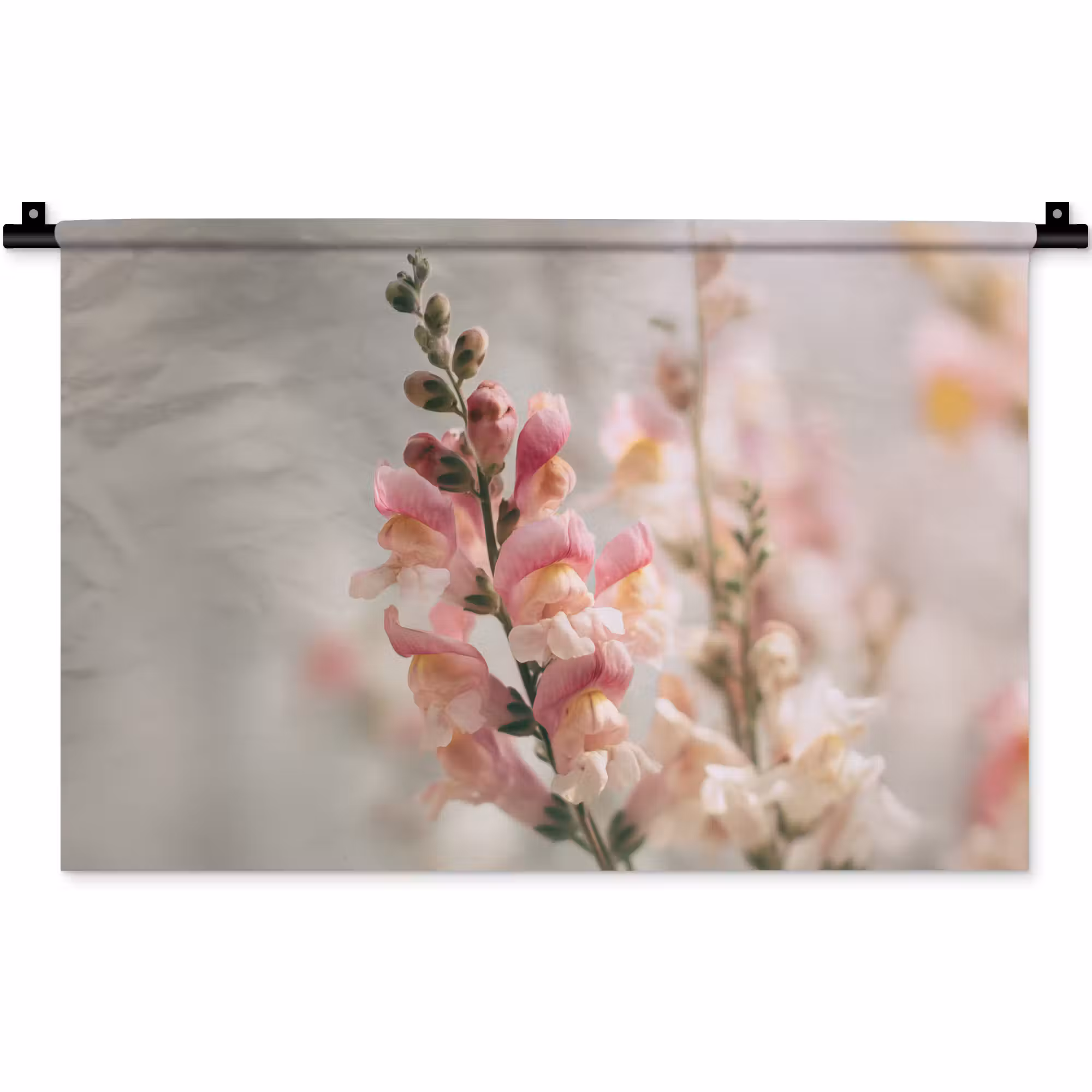 Wandkleed - Bloem - Leeuwenbek - Roze - Stengel