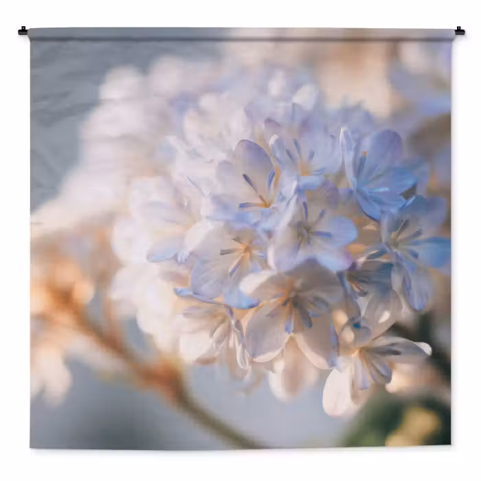 Wandkleed - Bloemen - Lichtblauw - Wazig - Trosje