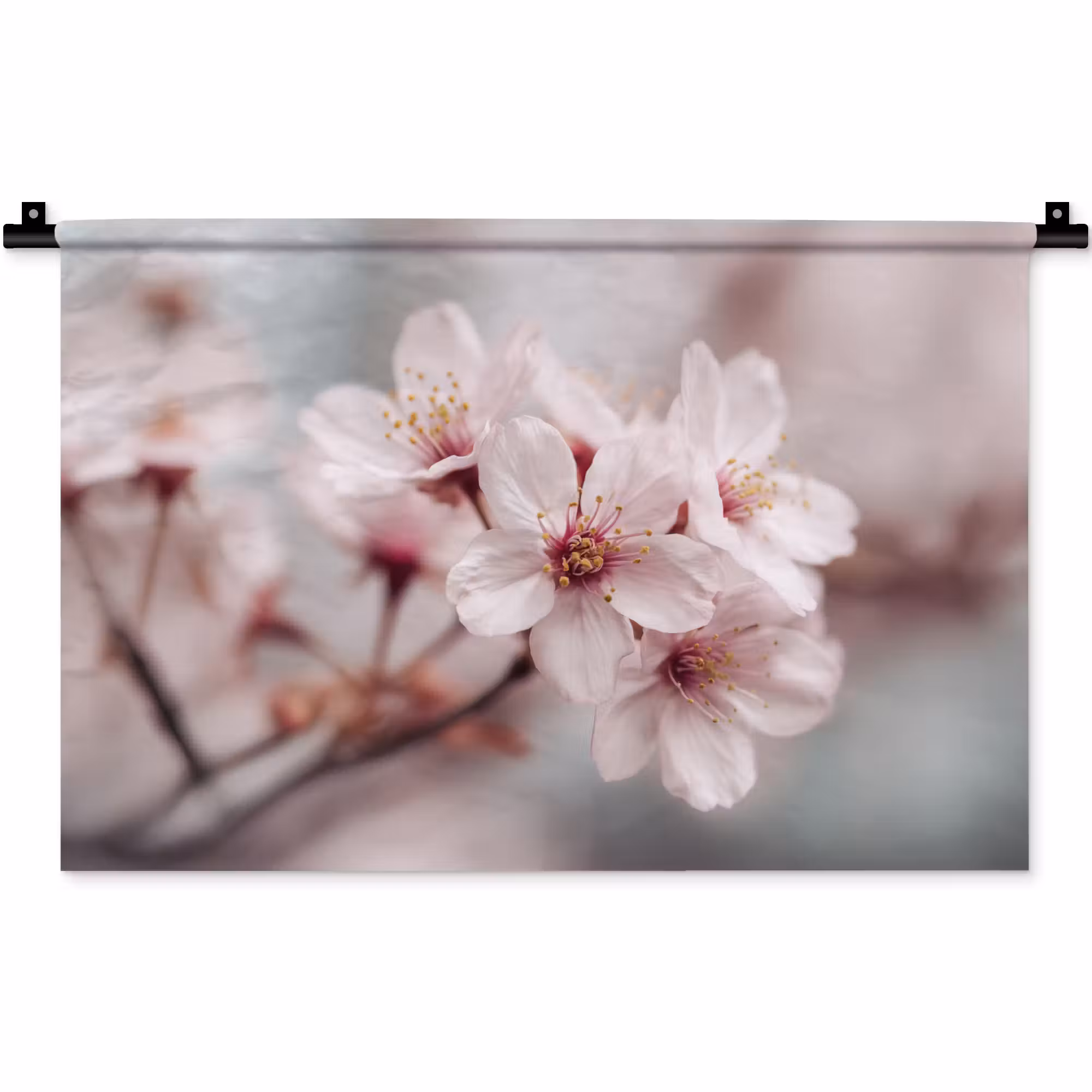 Wandkleed - Bloesems - Meeldraden - Geel - Wazig