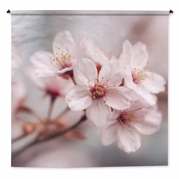 Wandkleed - Bloesems - Meeldraden - Geel - Wazig