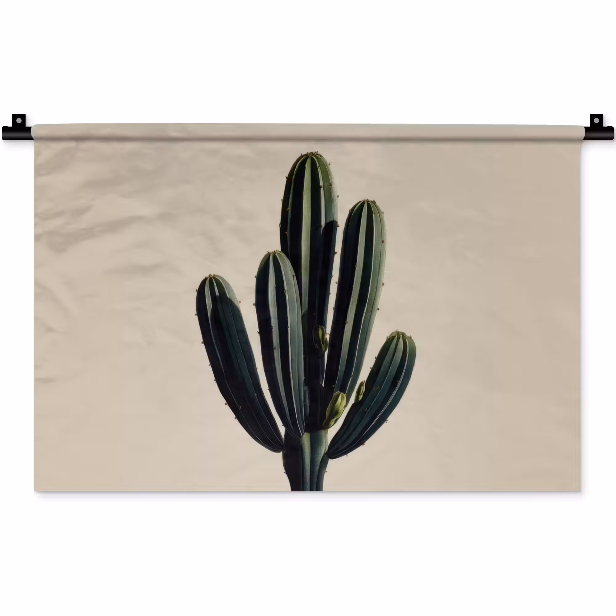 Wandkleed - Cactus - Subtiel - Groen