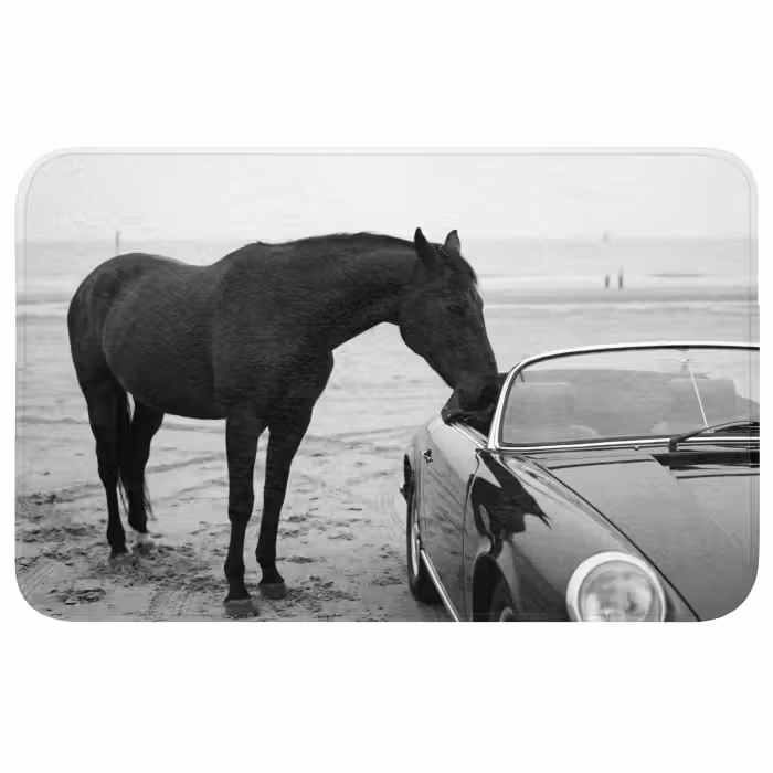 Wc Mat - Paard - Auto - Zwart - Wit