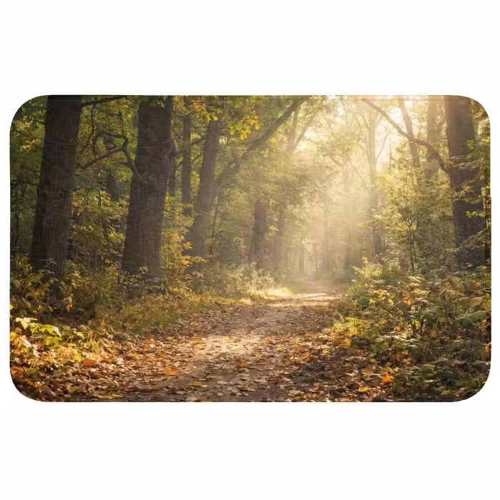 Wc Mat - Zonlicht - Bospad - Bomen